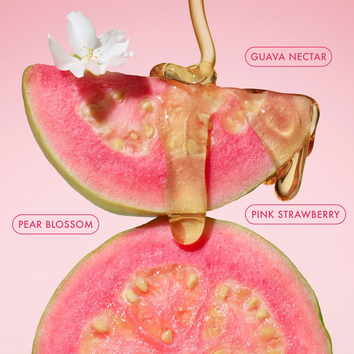 mini-body-butter-trio-r9 BodyButterBalmPinkGuava_3.jpg