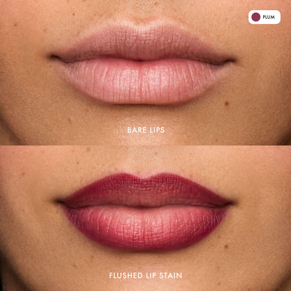 flushed-lip-stain-plum-p4 FlushedLipStain_Plum_B_A.jpg