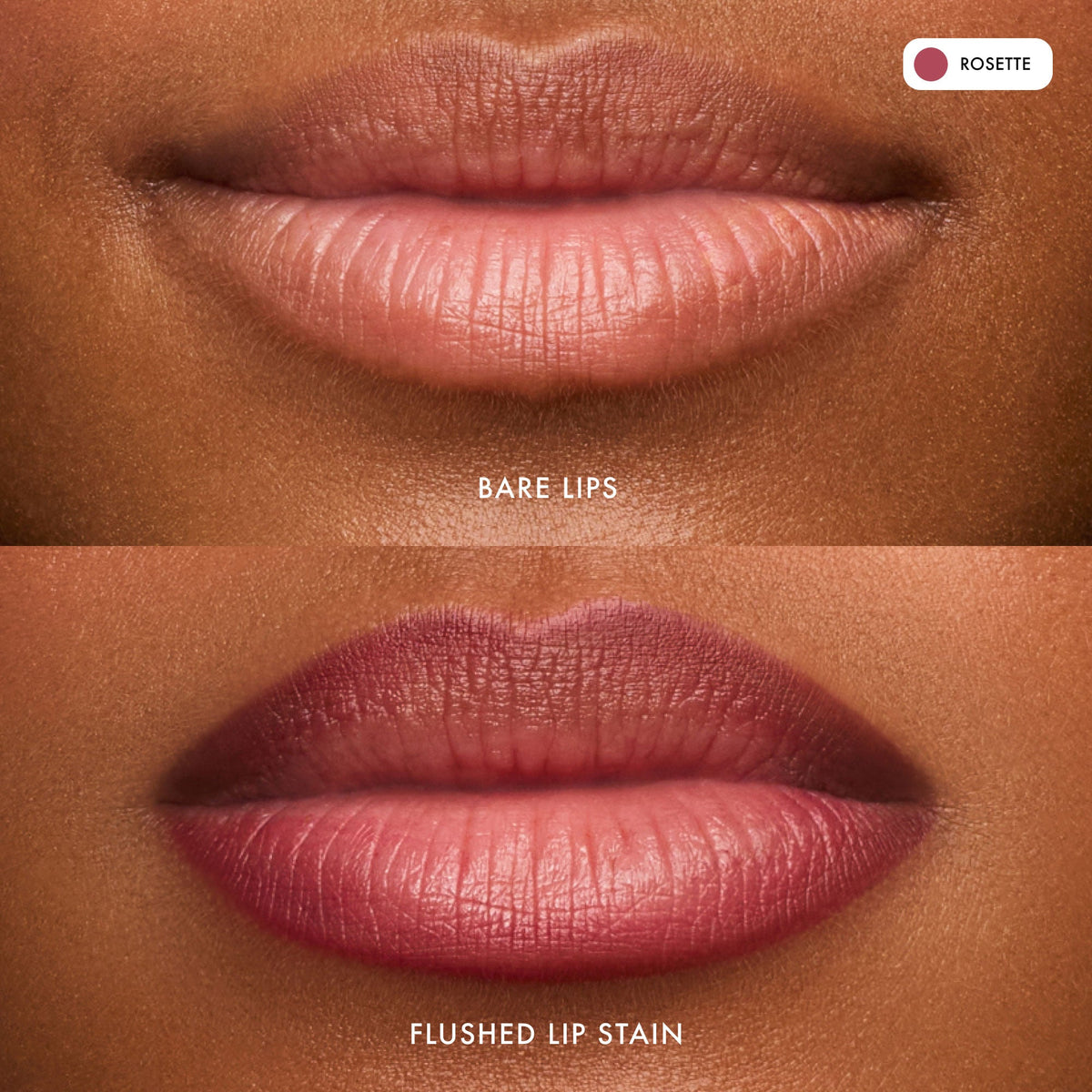flushed-lip-stain-rosette-g5 FlushedLipStain_Rosette_B_A.jpg