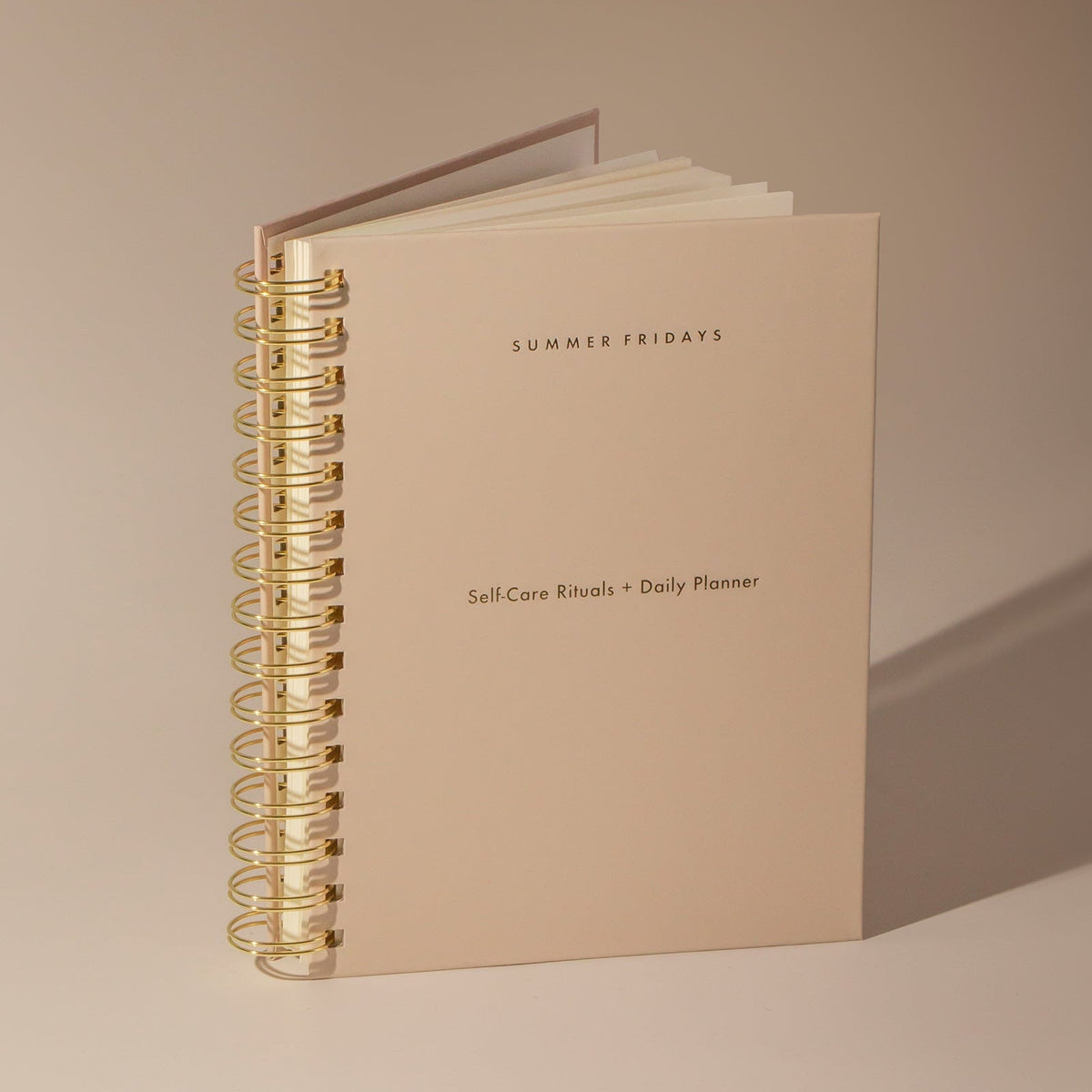self-care-rituals-daily-planner-v5 Planner-Main-V2.jpg