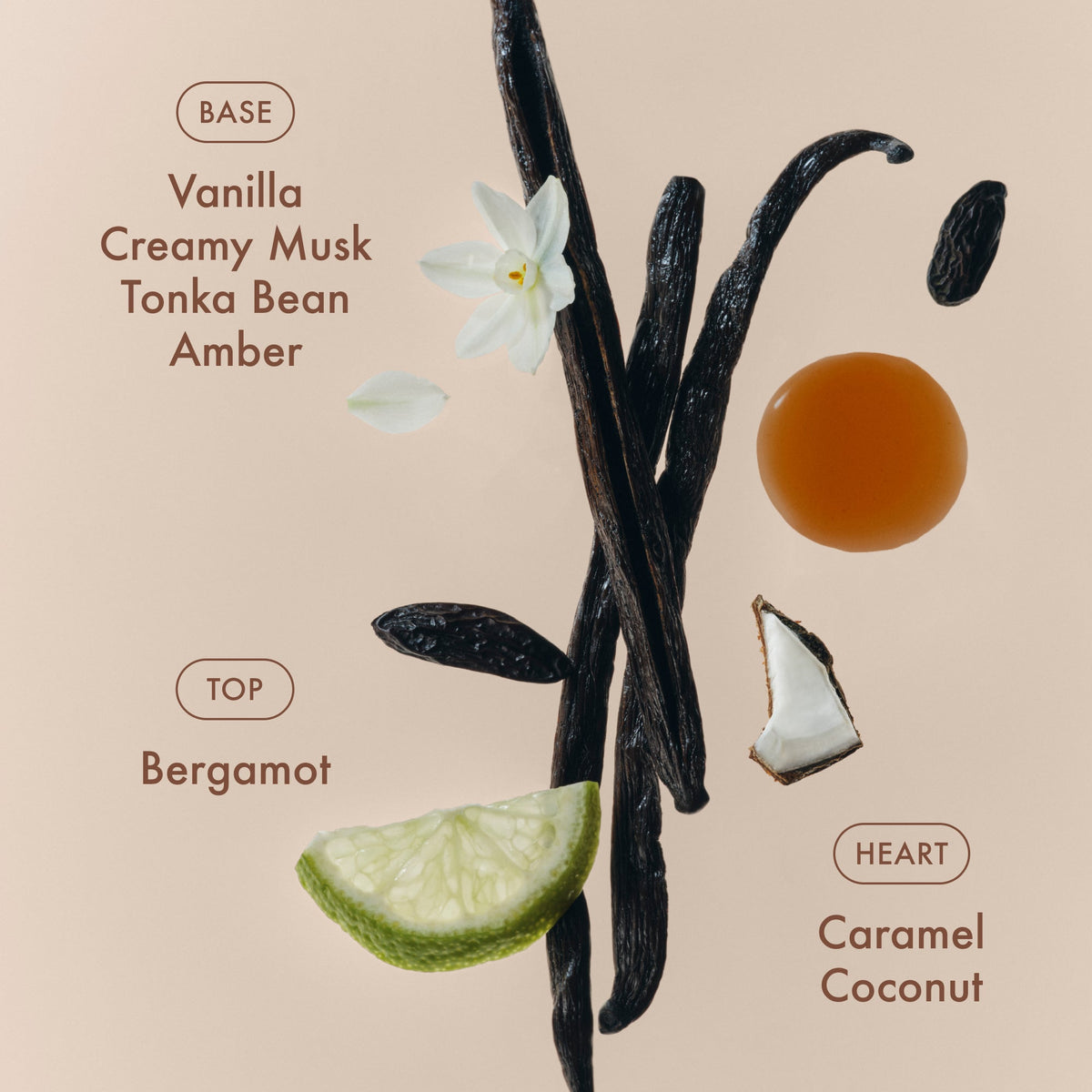sunlit-vanillatm-eau-de-parfum-v1 SunlitVanilla_4.jpg